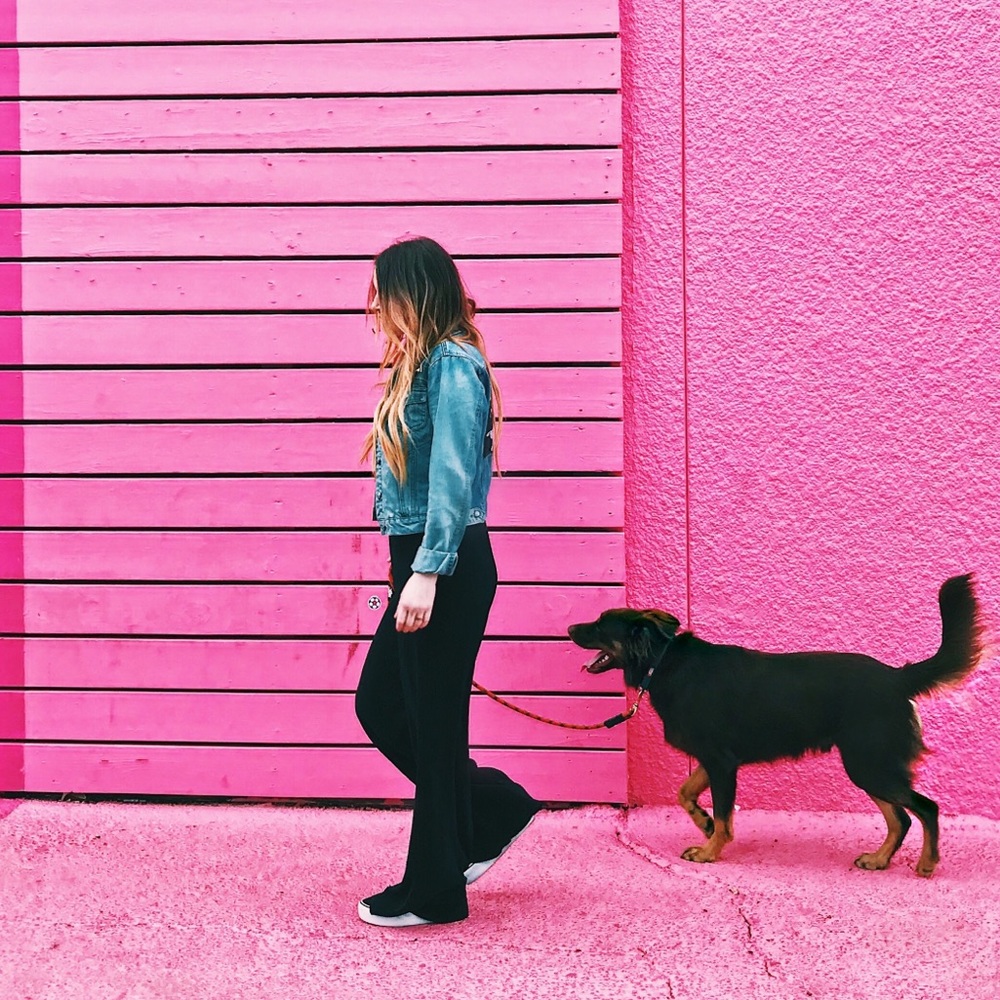 Meet your Posher, Alexa